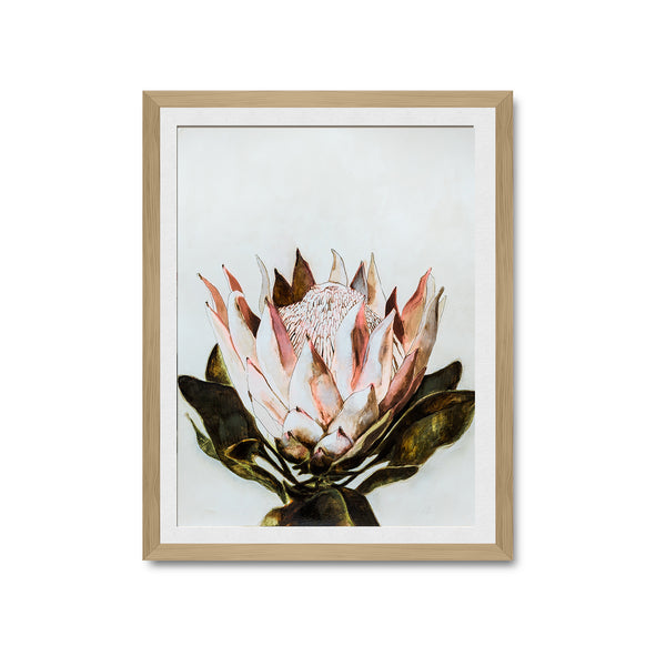 KING PROTEA I