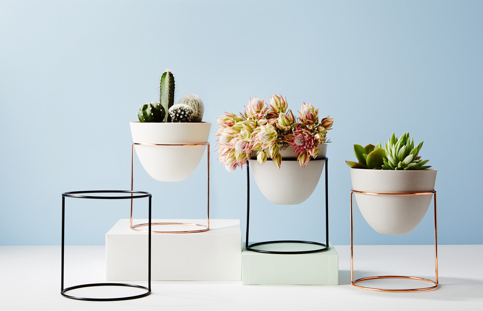 IVY MUSE NEST STAND + POT, BLACK & PEACH EGGSHELL