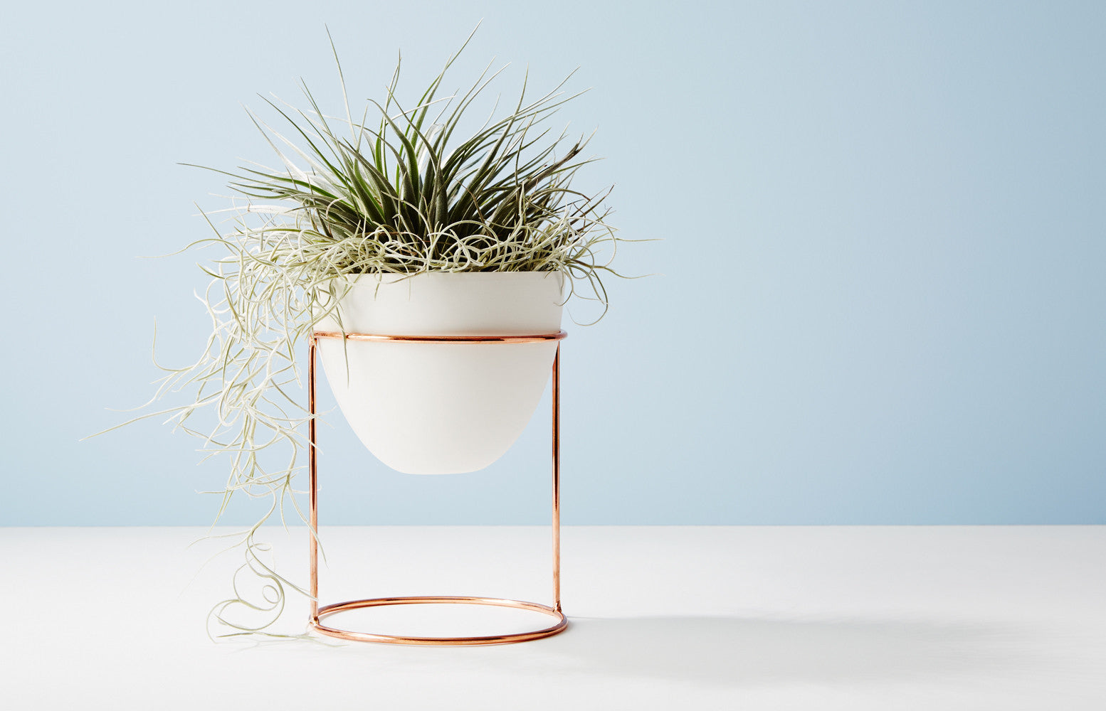 IVY MUSE NEST STAND + POT, COPPER & PEACH EGGSHELL